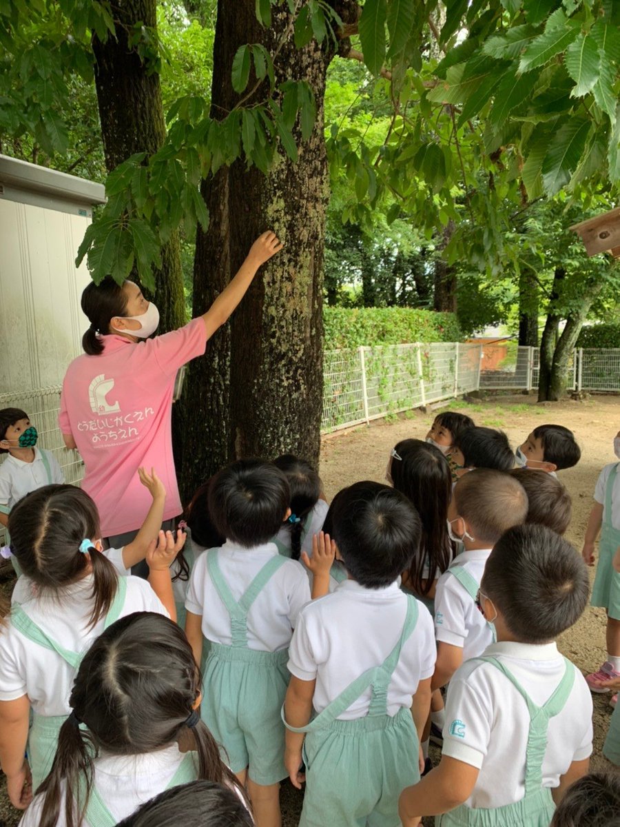 東大寺学園幼稚園 Tdjkids Twitter 東大寺学園幼稚園 Tdjkids Twitter