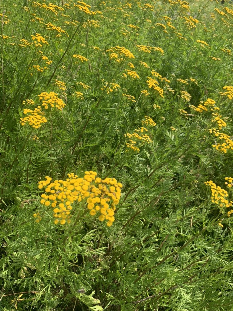 #EidAlAdha  - Rejoicing with all of you preparing to celebrate the Holy Eid