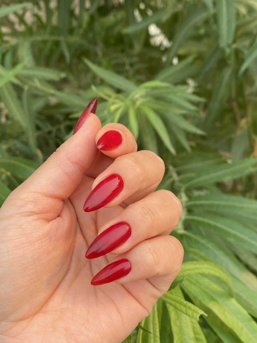 exestrrll's tweet photo. смотрите Вика как мне красиво сделала ♥️ @fairy_nails_ykt https://t.co/ZTqGEC2OTh