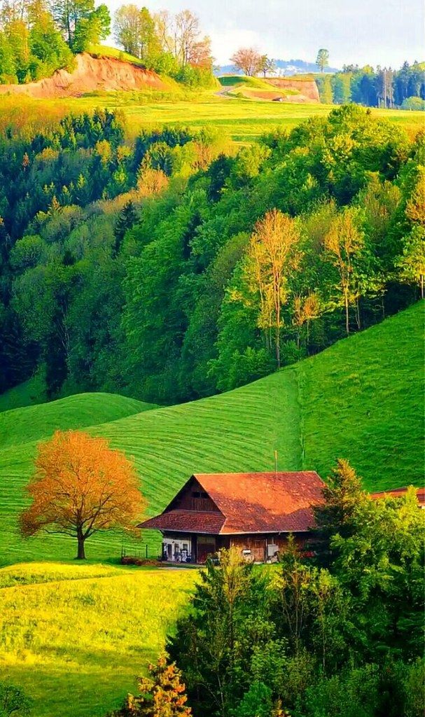 Christinadelfino (@christinadelfi6) on Twitter photo 