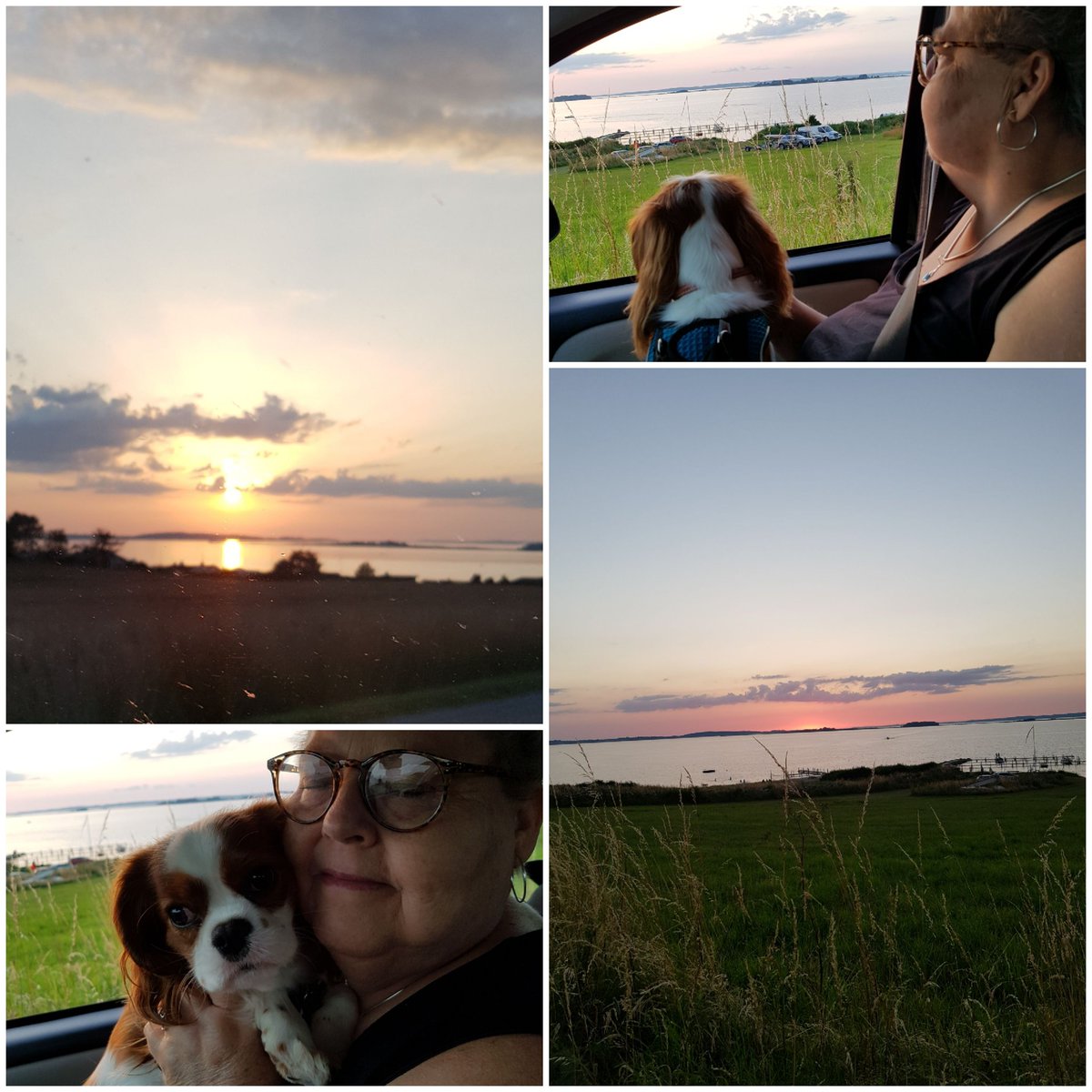 #cavpack Watching the sunset with Granny ☀️🌞🌝🌛🌠