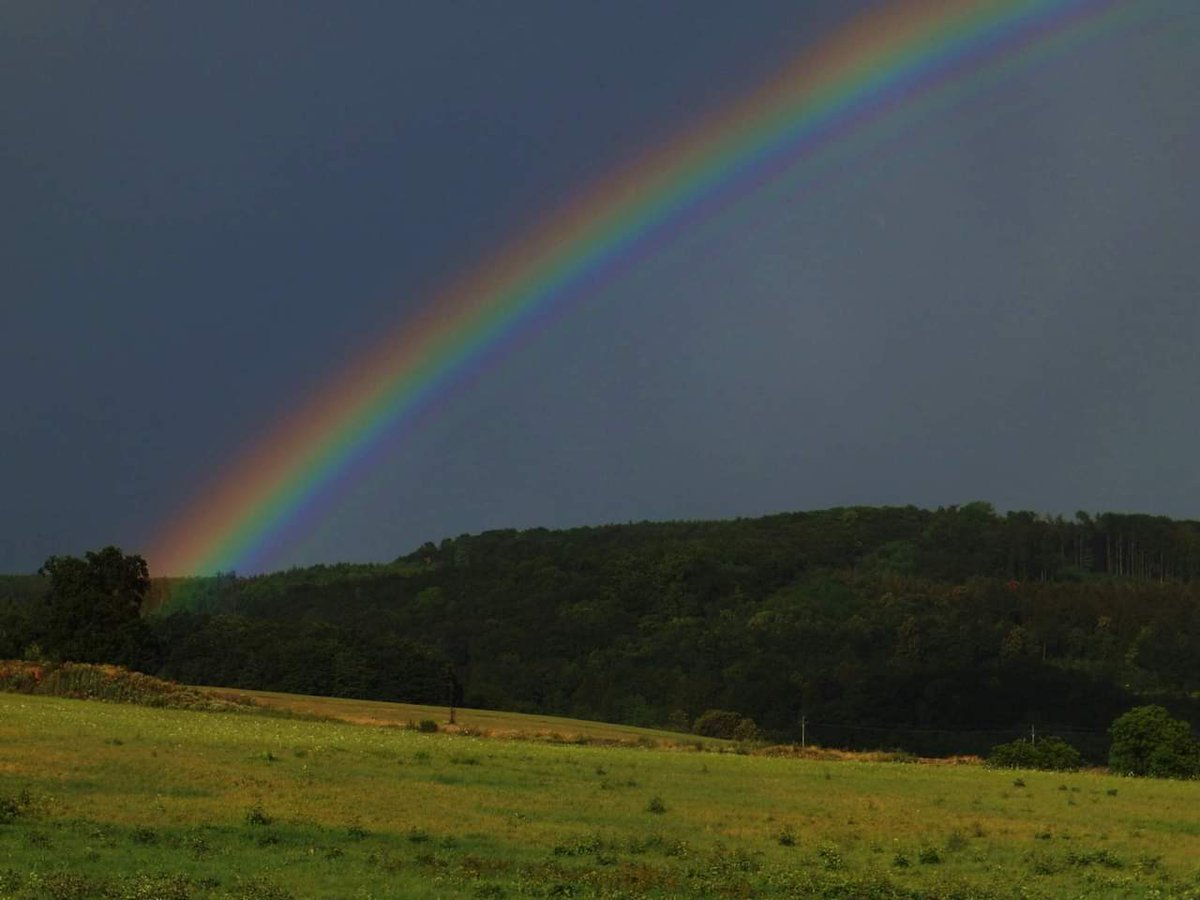 DolejsJane's tweet photo. @FerrCarrillo “Somewhere over the rainbow, skies are blue, and the dreams that you dare to dream really do come true.” — E.Y. Young 🌈🌈Have a wonderful weekend 🌈🌈 https://t.co/JB5ksTa3uR