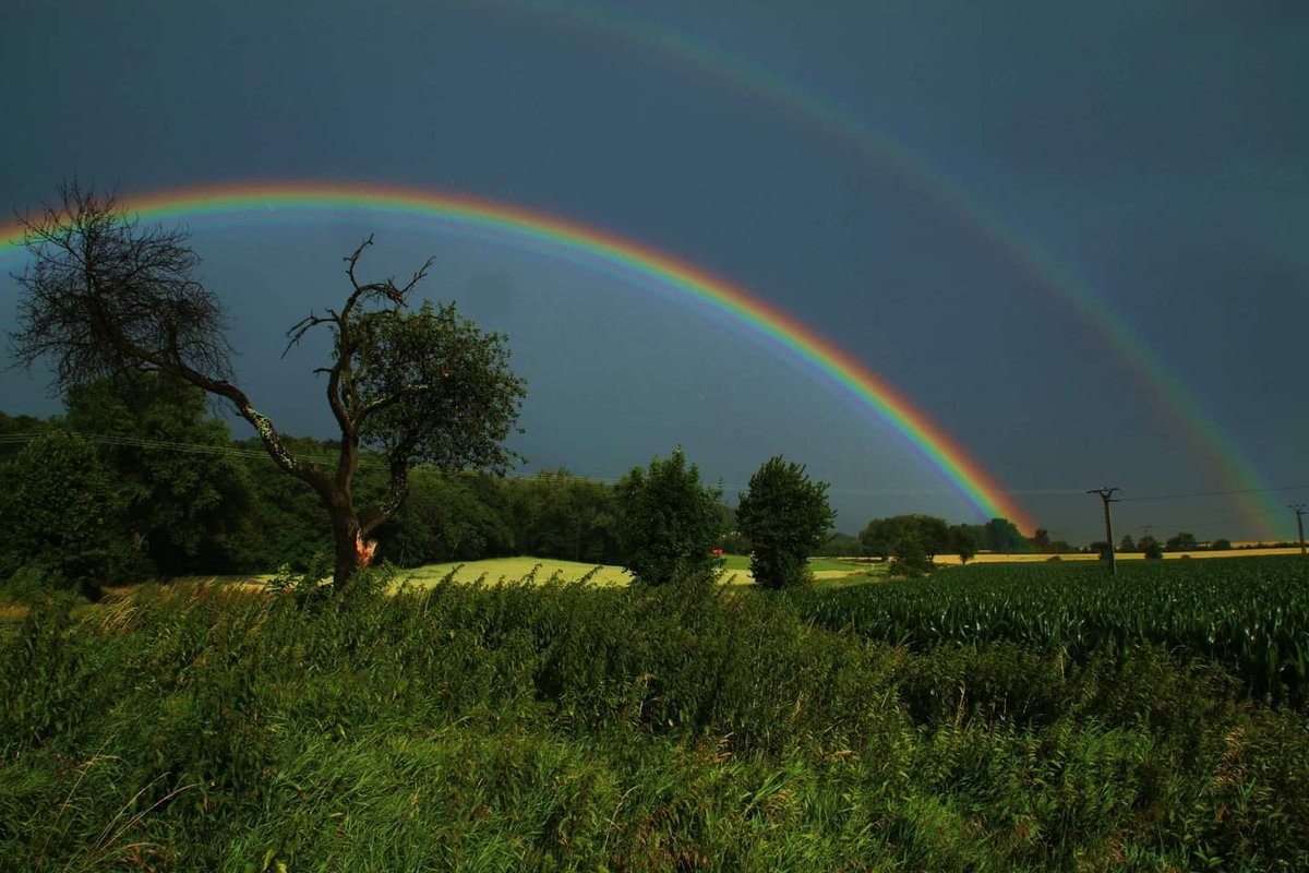 DolejsJane's tweet photo. @FerrCarrillo “Somewhere over the rainbow, skies are blue, and the dreams that you dare to dream really do come true.” — E.Y. Young 🌈🌈Have a wonderful weekend 🌈🌈 https://t.co/JB5ksTa3uR