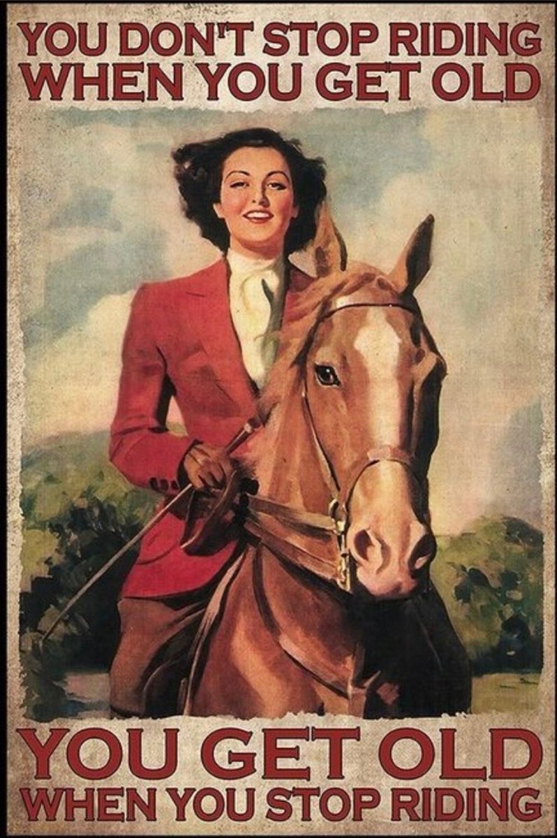 We hope you're making the most of the weather this weekend and you ge the chance to enjoy it in the company of our four legged friends. And remember; #riding #Horses #saddle #Hacking #weekendvibes
To join us: membermojo.co.uk/hacsc