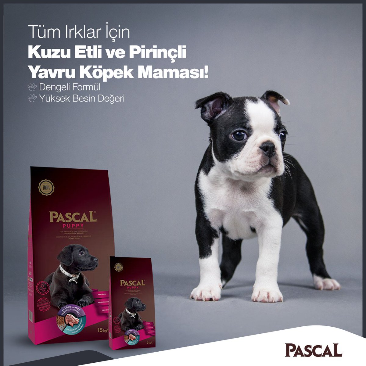 Pascal Kopek Mamasi Pascaldogfood Twitter