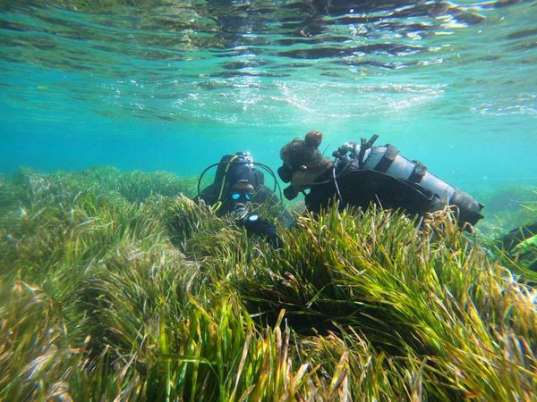 MaritimeArchaeologicalResearchLaboratory - MARELab tweet media