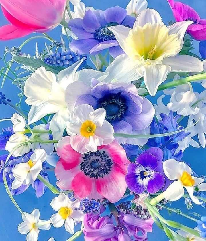 TLeoni311's tweet photo. Beautiful day for all https://t.co/8TchFIam1z