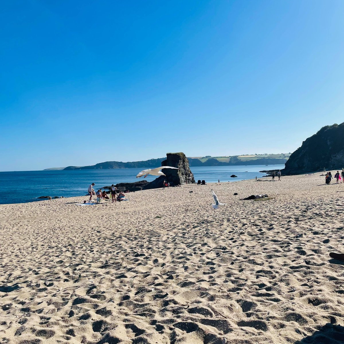AdventureC's tweet image. Carlyon Bay beach in this glorious sunshine! 

An absolute paradise for adventurers who are into watersports. 

Have you visited here before?

#carlyonbay #carlyonbaybeach #adventurecornwall #cornwallwatersports