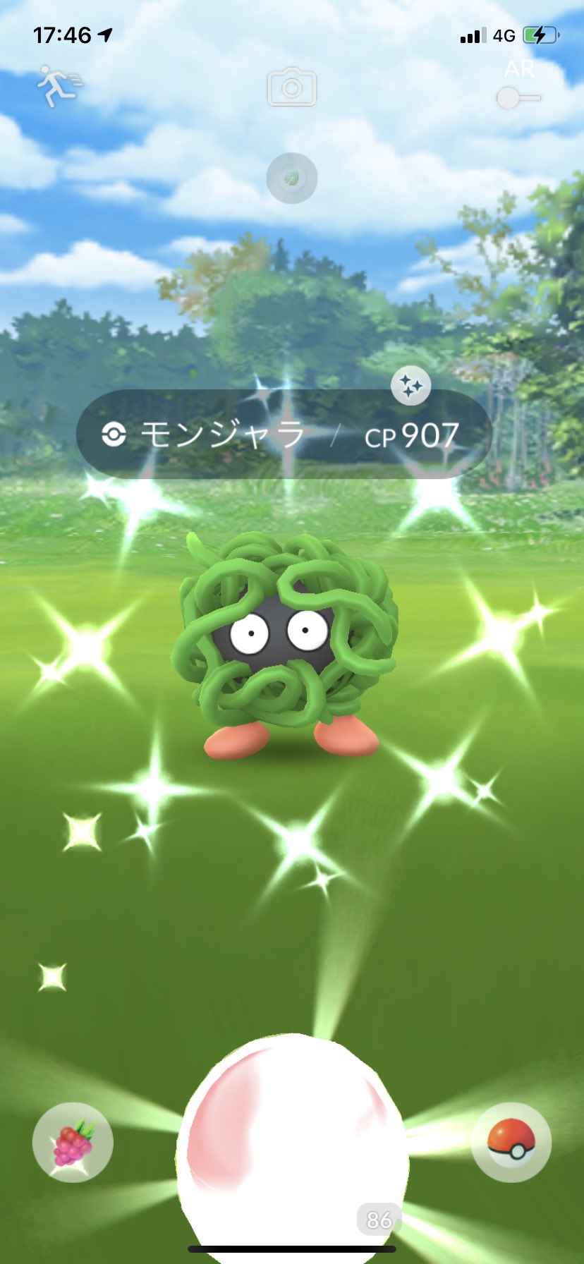 ポラリス ポケモンgo 色違いモンジャラをモジャンボに進化させました ポケモンgo 色違い モンジャラ モジャンボ T Co Bpbgnrwp9y Twitter