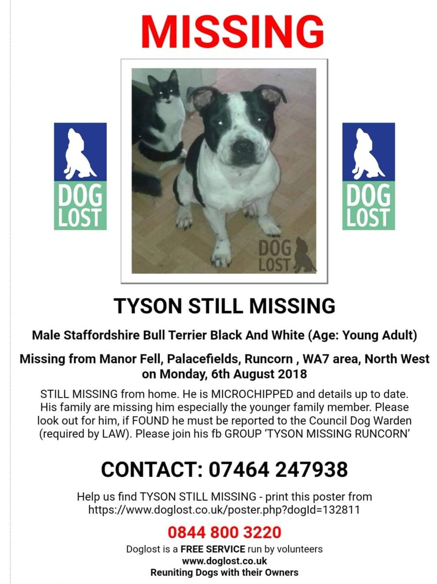 #StillMissing ‼️
Name: Tyson 
Breed: Male #StaffordshireBullTerrier 
#Lost: 06/08/2018
Area: #ManorFell #Palacefields #Runcorn #Cheshire #WA7 
Tyson #Microchipped details are upto date - His family are #missing him especially the youngest one 
doglost.co.uk/dog-blog.php?d…