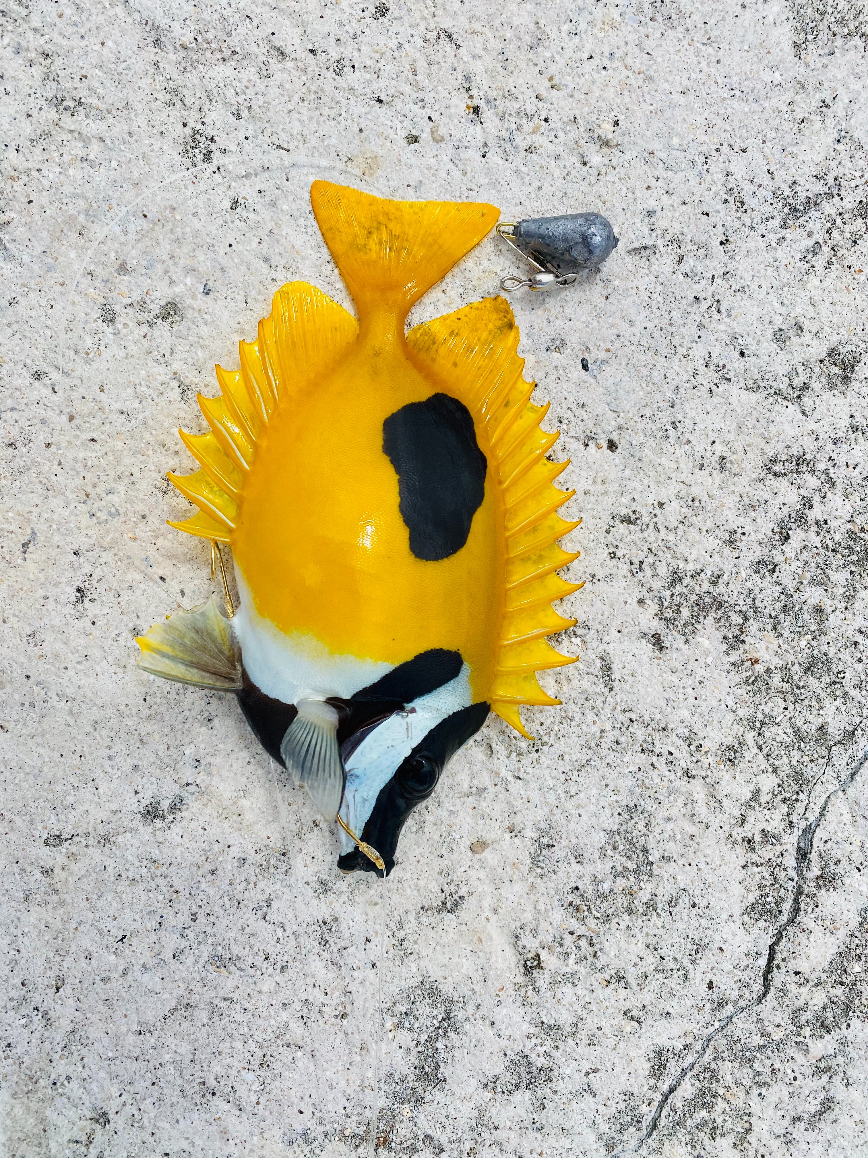 Nonmodo お客様にもっとも近い釣具ブランド 沖縄ではこんな可愛い魚たちがサビキで簡単に釣れちゃいます あー可愛い T Co 05ojbcmbs8 Twitter