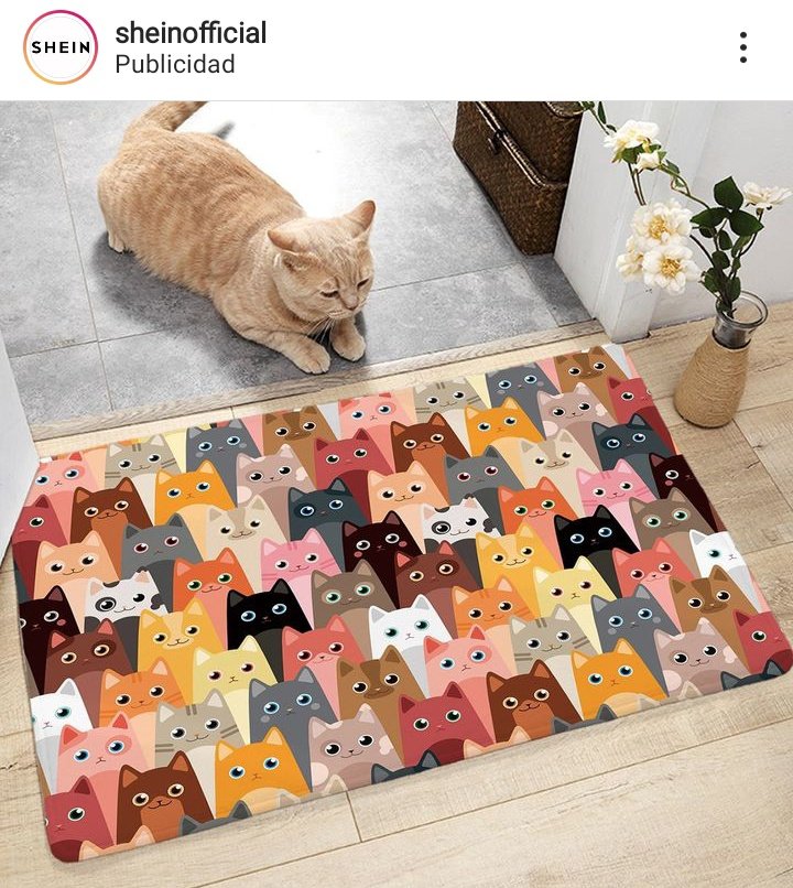 _Puppetmon's tweet image. - Yo: Odio la publicidad de Instagram, nunca sale nada que me interese. 
- La publicidad de Instagram dándome el mejor contenido de la historia: