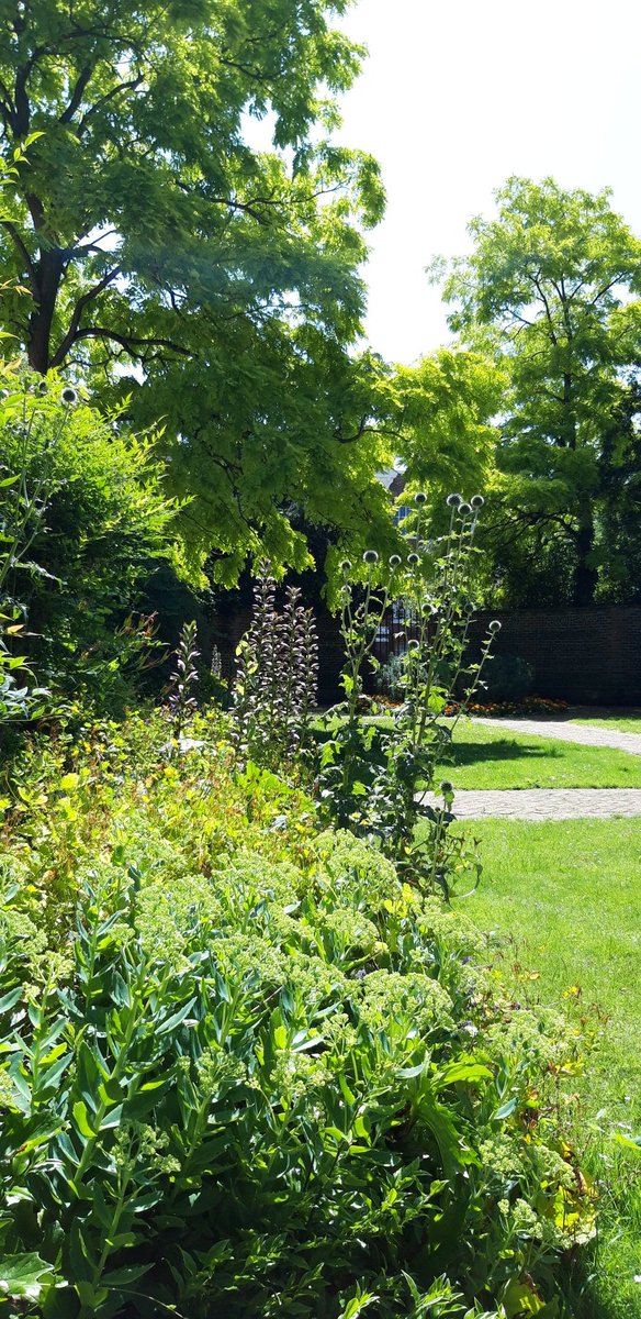 natashabugbee's tweet photo. Found a peaceful beauty spot for a quick bit of lunch in Marlow today, lucky me💛 @WeAreMV_ https://t.co/5vD6Ihrxqj