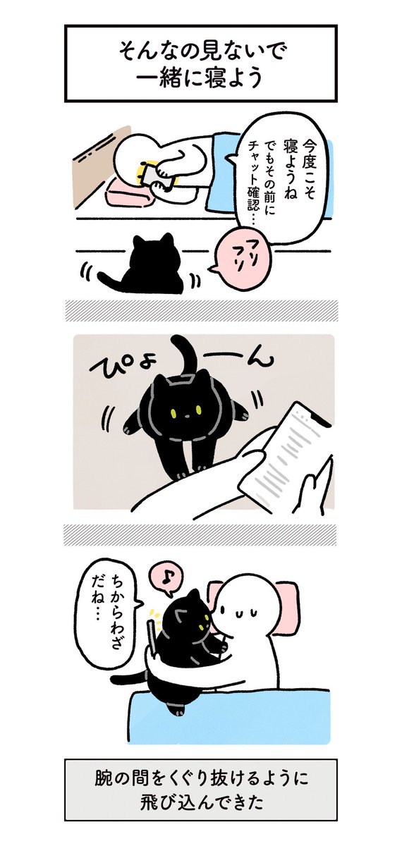 一緒に寝てくれなきゃイヤなねこの絵日記
#ろんの絵日記 