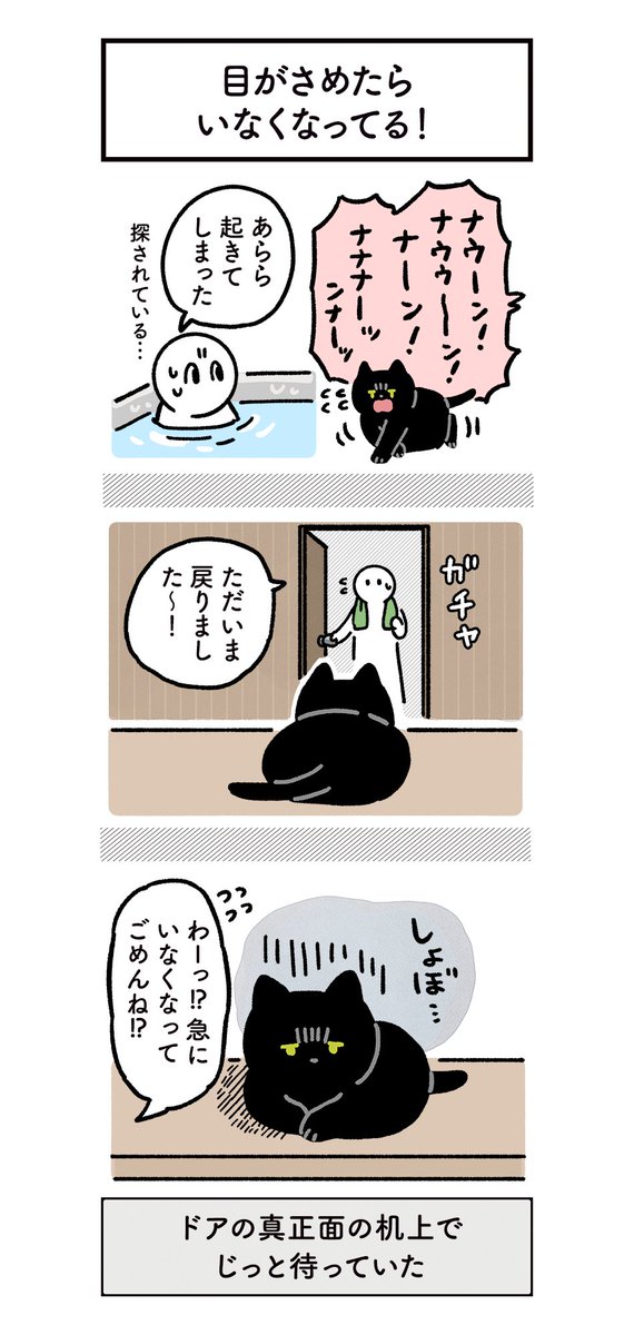 一緒に寝てくれなきゃイヤなねこの絵日記
#ろんの絵日記 