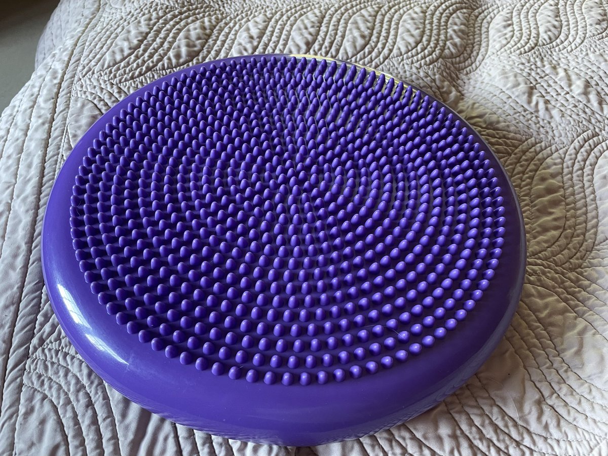 TheMSKittylady's tweet photo. My latest piece of torture equipment to try and get my hips working together! #SodoffMS https://t.co/Ob6zMKPsAH
