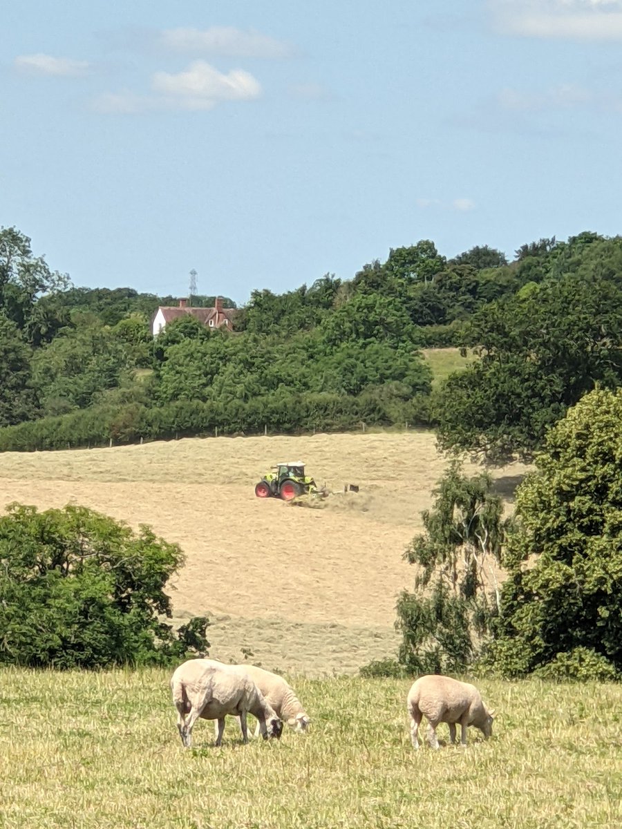 Kim_Rural's tweet photo. Its a sheep and hay kinda day

#makehay #finallysunny #britishcounteyside https://t.co/A2HeQ5OcTY