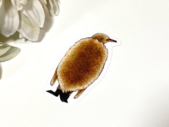 キングペンギンのヒナのtwitterイラスト検索結果