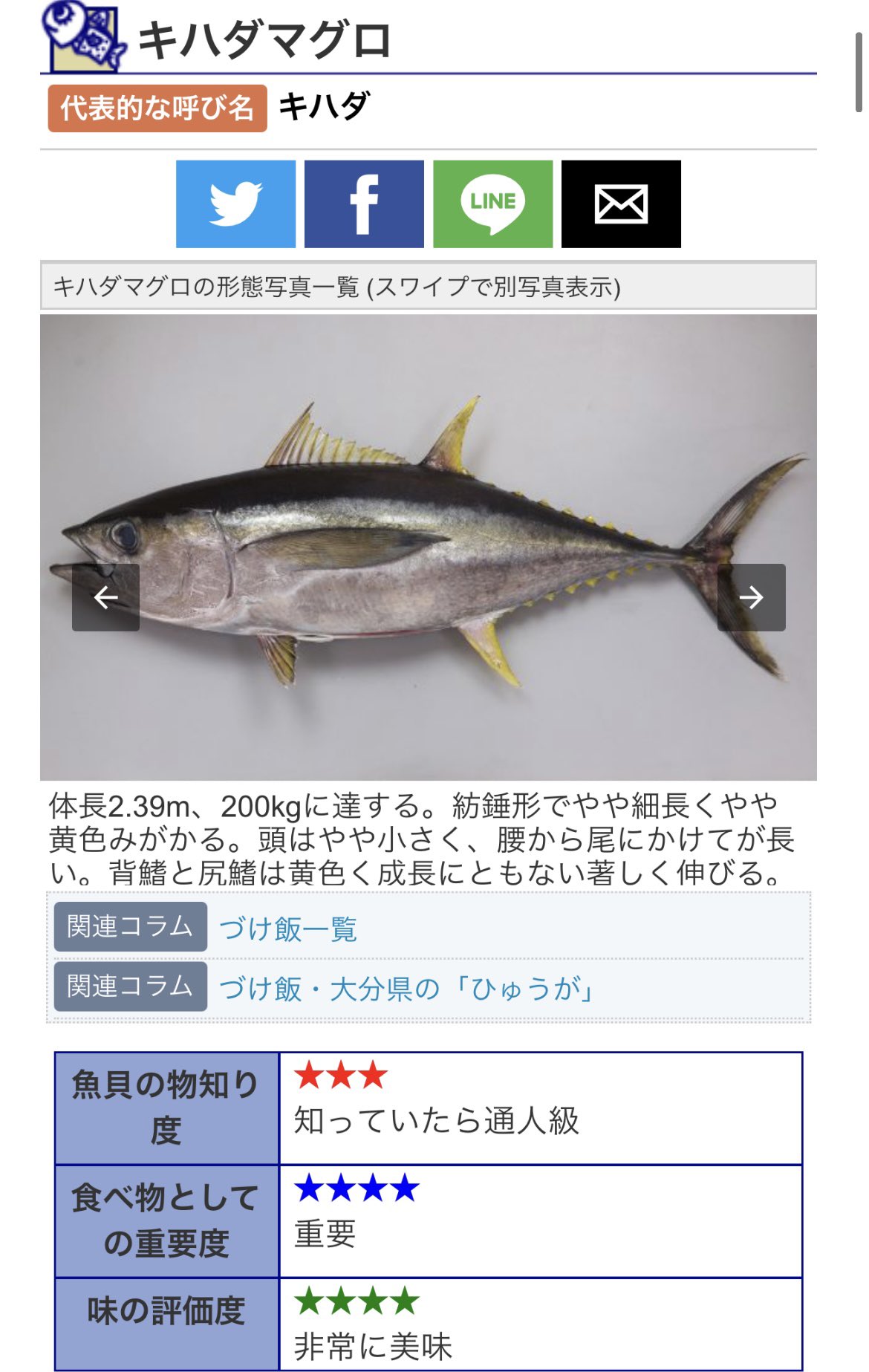愉悦処 似星 日曜限定予告 キハダマグロ 宮崎は日向灘 黒潮の味 水揚げで一番の良質なものに対し 本黄鮪 とブランドが付いてます 使う部位は1頭の鮪から2つしか取れない希少部位の脳天 旬真っ只のキハダ 大トロ並みの強い脂身が美味いです 遊び飯 愉悦処 似星 日曜限定予告 キハダマグロ 宮崎は日向灘 黒潮の味 水揚げで一番の良質なものに対し 本黄鮪 とブランドが付いてます 使う部位は1頭の鮪から2つしか取れない希少部位の脳天 旬真っ只のキハダ 大トロ並みの強い脂身が美味いです 遊び飯