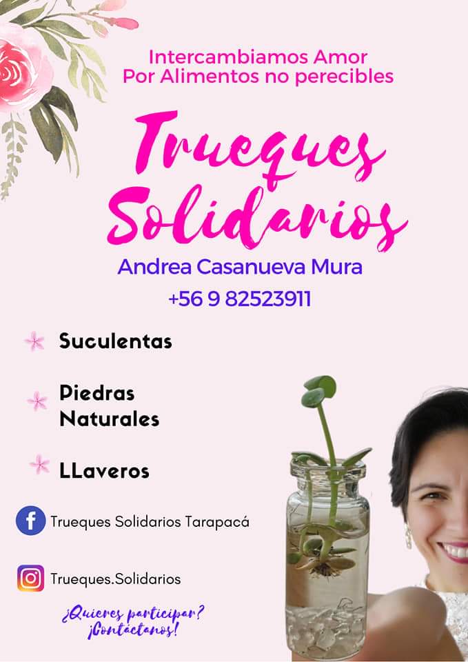 Truequetarapaca's tweet photo. #Iquique Este sábado nos encontramos en #Feria #itinerante
#Trueques #solidaridos Intercambiamos Plantas, llaveros y piedras naturales por ALIMENTOS NO PERECIBLES❤️✨ @CasanuevaMura #Tarapaca #Primarias #primariaspresidenciales2021 https://t.co/0Wq3qbTBo3