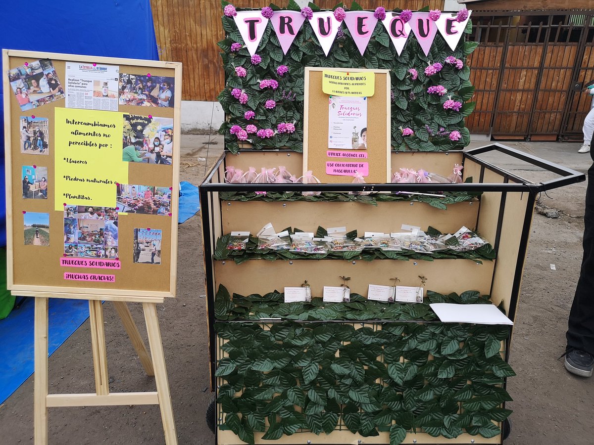 Truequetarapaca's tweet photo. #Iquique Este sábado nos encontramos en #Feria #itinerante
#Trueques #solidaridos Intercambiamos Plantas, llaveros y piedras naturales por ALIMENTOS NO PERECIBLES❤️✨ @CasanuevaMura #Tarapaca #Primarias #primariaspresidenciales2021 https://t.co/0Wq3qbTBo3