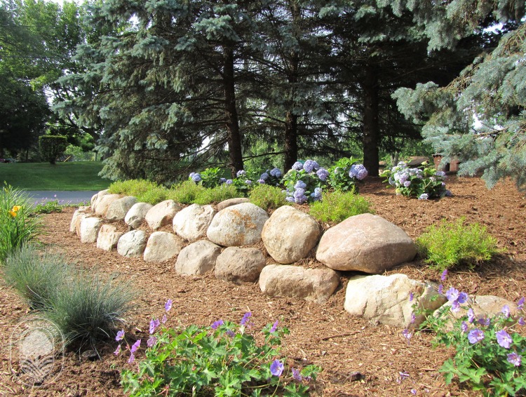 DAAlexanderCo's tweet image. We love Saturday blooms. 🌸

#daalexander #loveyourlandscape #boulderwall #hydrangeas #landscapedesign #summer #daylillies #landscapephotography #beautifulgarden #CantonMI #NorthvilleMI #AnnArborMI #NoviMI #WestBloomfieldMI #FarmingtonMI #SouthLyonMI #LyonTownshipMI #PlymouthMI