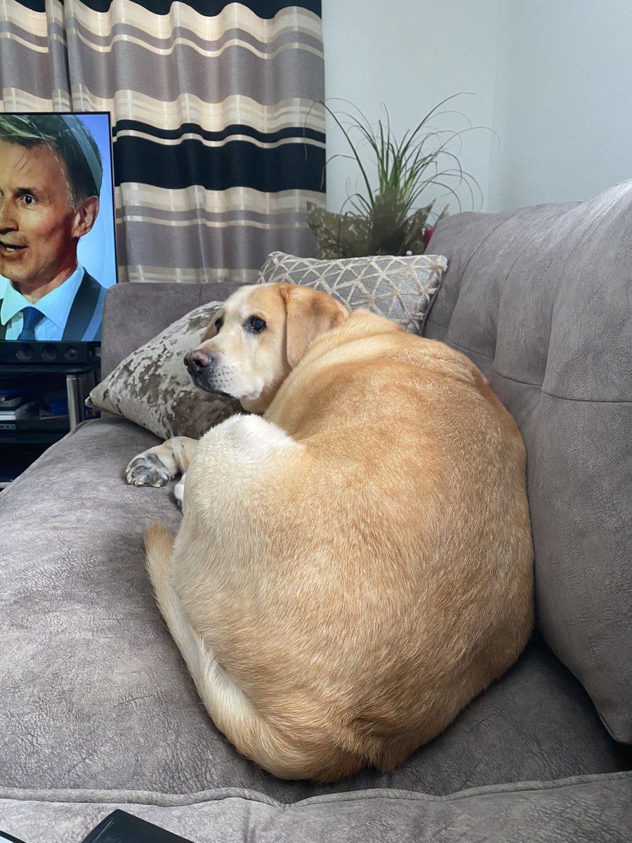 KitchenKev14's tweet photo. My Seat has been stolen! https://t.co/EJMsAeIc0X