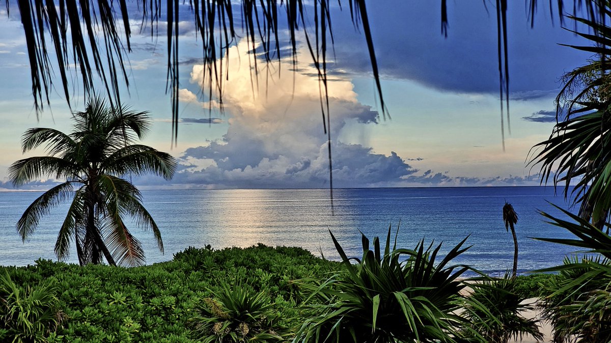 valentinmaya's tweet photo. Do you imagine starting the weekend with an incredible view from an Emerald Jr Suite?
#GoBackToValentin #ValentinImperialmaya https://t.co/g8iJsOPnKL