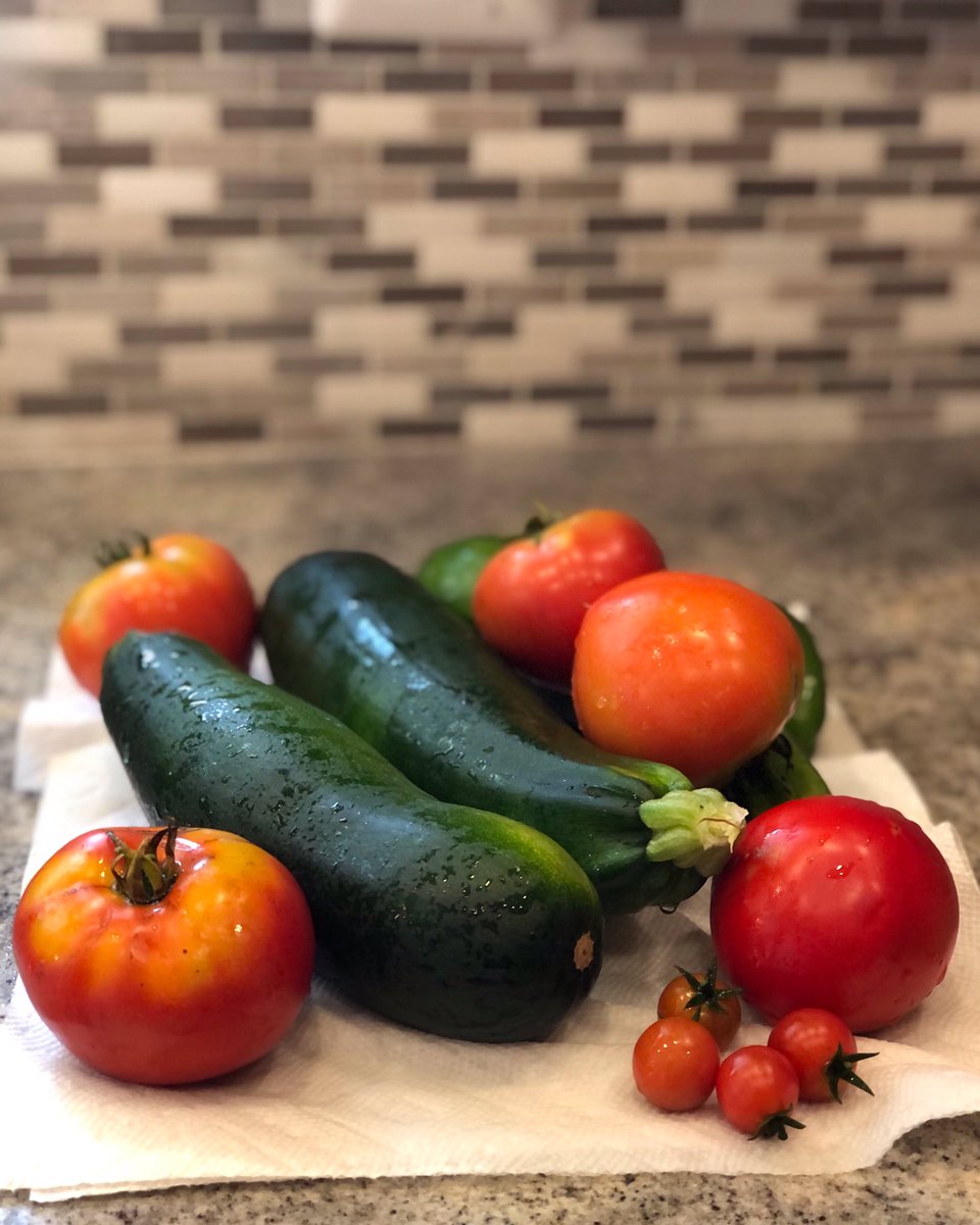 spoongvsu's tweet image. Summer harvest! 😍🍅🫑🥒
•
•
•
#spoongvsu #spoonfeed #spoonuniversity #summer #summertime #summerharvest #veggies #gardening #yum
