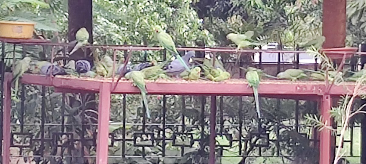 PuniaRamesh tweet picture