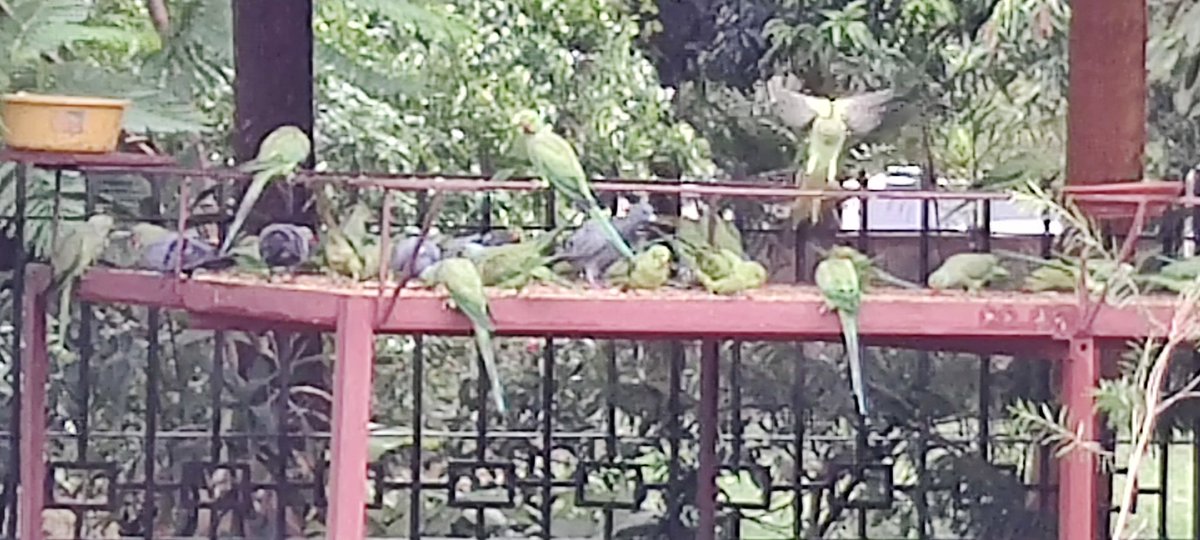 PuniaRamesh tweet picture
