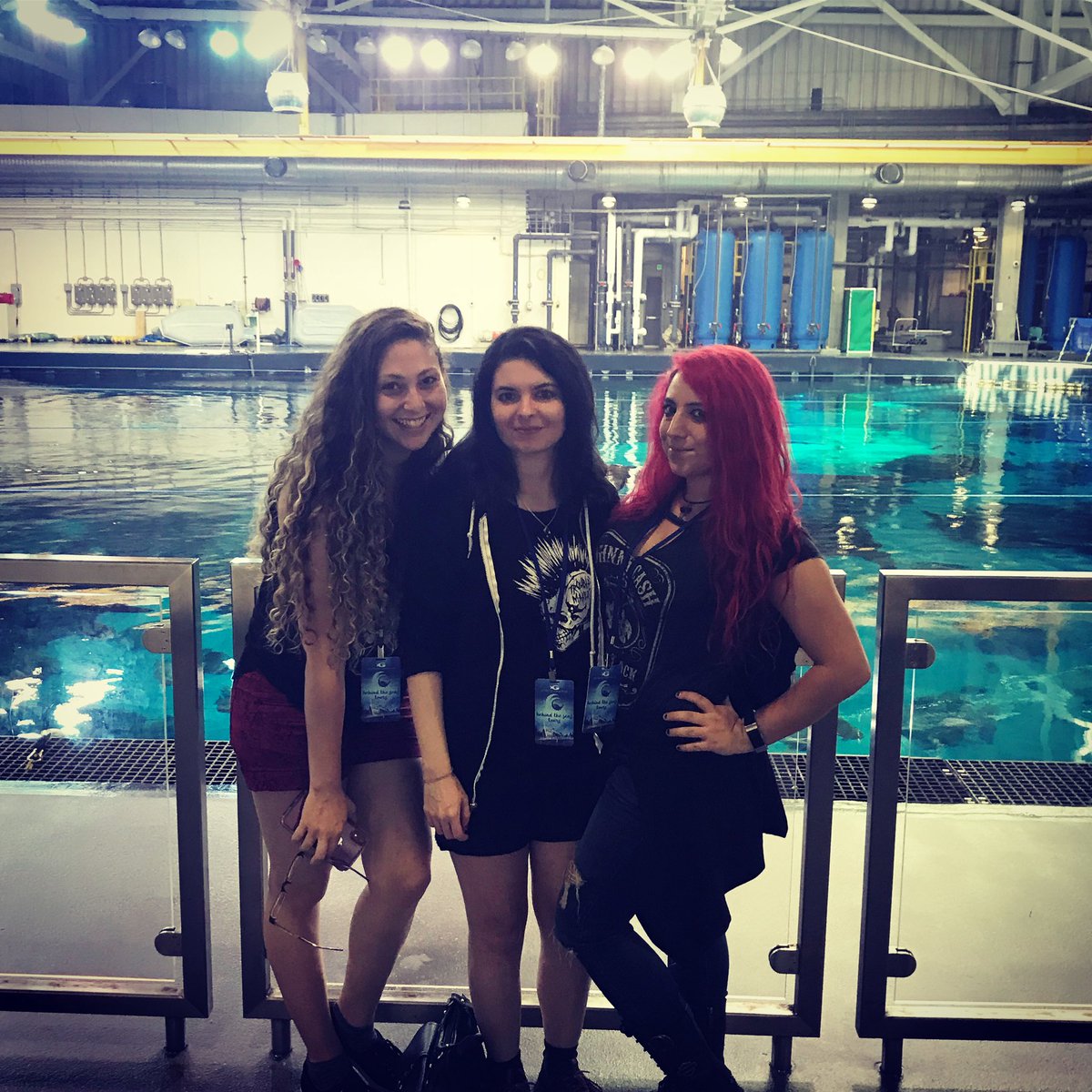 JknifeStiletto's tweet photo. PS. We took a shark! 🦈😹 #HappySharkWeek #HappyCaturday https://t.co/IqbdyNJ97C