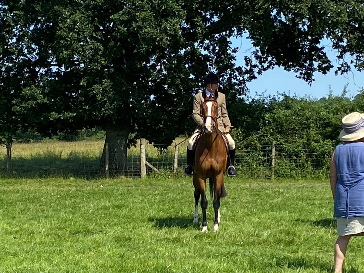 C_HartEquine's tweet image. A red rosette for Gino and Simon! Very proud of them getting first place today in the #RoR class at Inkberrow show. Gino behaved beautifully and the judge was very complimentary. Well done to them both! 

#followtheGinoTrail #RoRclass #teamCHE #CHERoR #fedontopspec