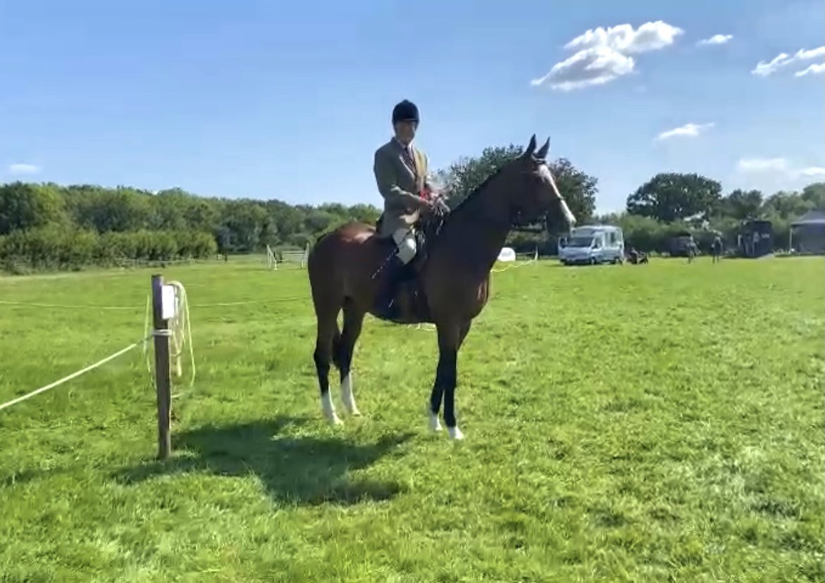 C_HartEquine's tweet image. A red rosette for Gino and Simon! Very proud of them getting first place today in the #RoR class at Inkberrow show. Gino behaved beautifully and the judge was very complimentary. Well done to them both! 

#followtheGinoTrail #RoRclass #teamCHE #CHERoR #fedontopspec