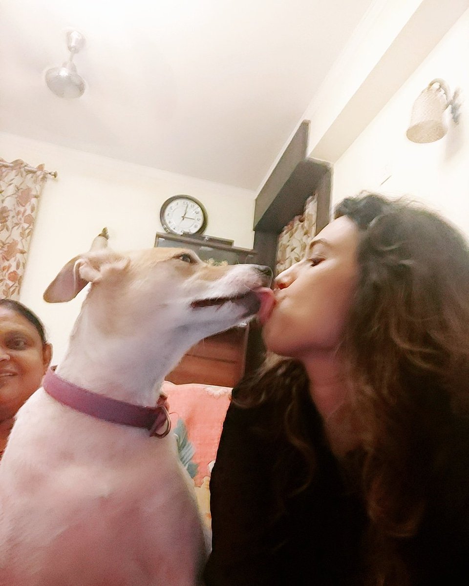 Dogs never bite me. They just lick me 😘❤
@TheDogMother_ @_MohitChauhan @TheJohnAbraham @Iamkavitak @Doggos_Bot
#doggolove #doggosbeingdoggos #dogsofinstagram #dogslover #doglife