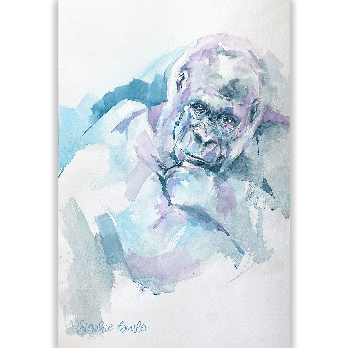 StephieButler's tweet image. Gorilla...@archespapers
@danielsmithartistsmaterials #lunarblue
#archespaper #danielsmithwatercolors 
#gorilla #africanwildlife #wildlife #intothewild #animals #wildanimals #contemporaryart #watercolour #womenartists