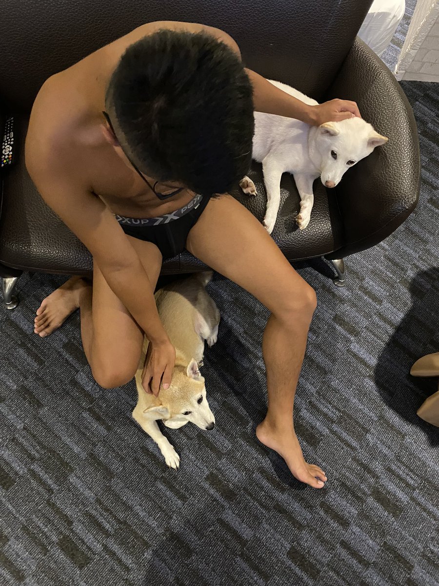 🐶 <a href="/PEXUPunderwear/">PEXUP underwear</a>