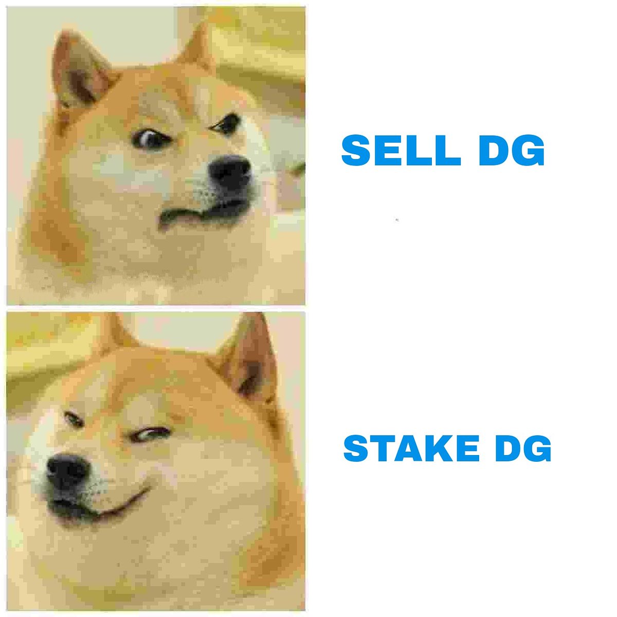 Dailydoseofmemes11228 tweet media