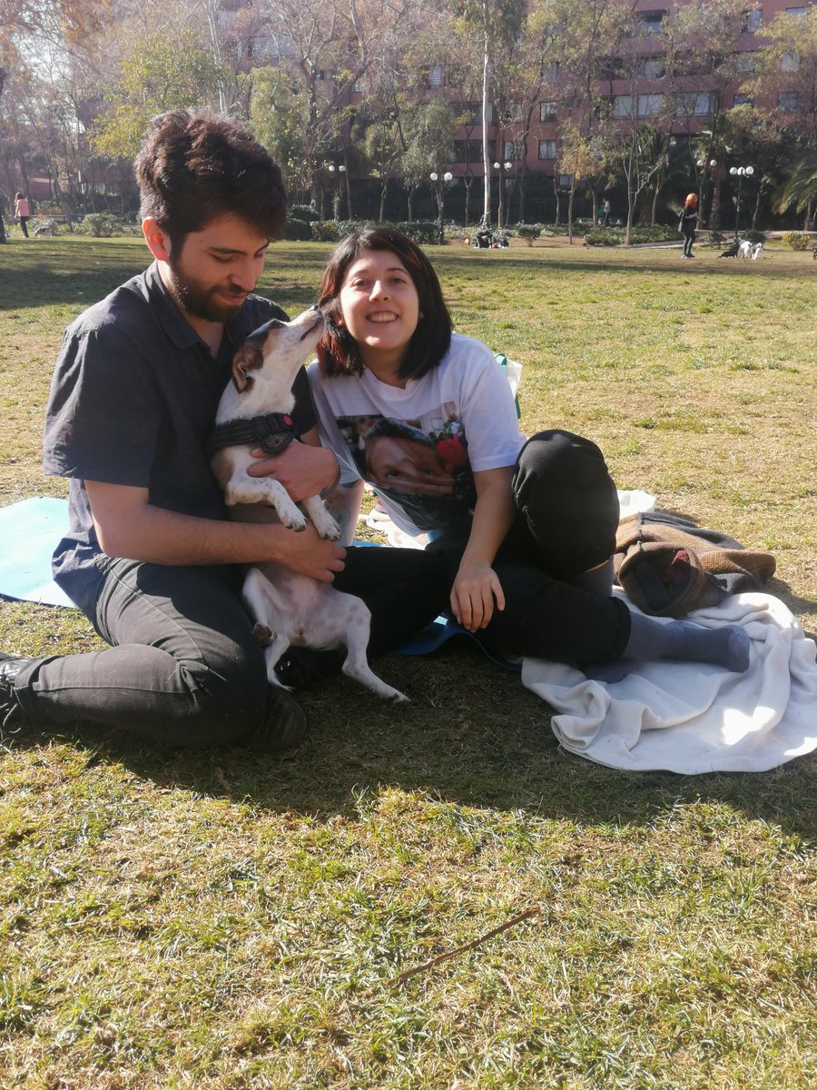 Mascotaxi2's tweet photo. Volvemos con los trasporte de mascotas a plazas y parques!
Cotiza y agenda al +56945113120
#tepaseo #taxidemascotas #transportedemascotas #parqueohiggins #parquemet #parqueinesdesuarez https://t.co/8EHCpdGC33