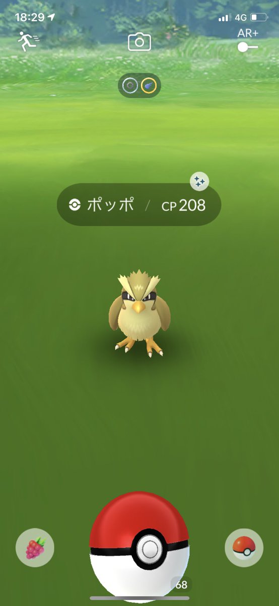 ポケモンgo ポッポの入手方法 能力 技まとめ 攻略大百科