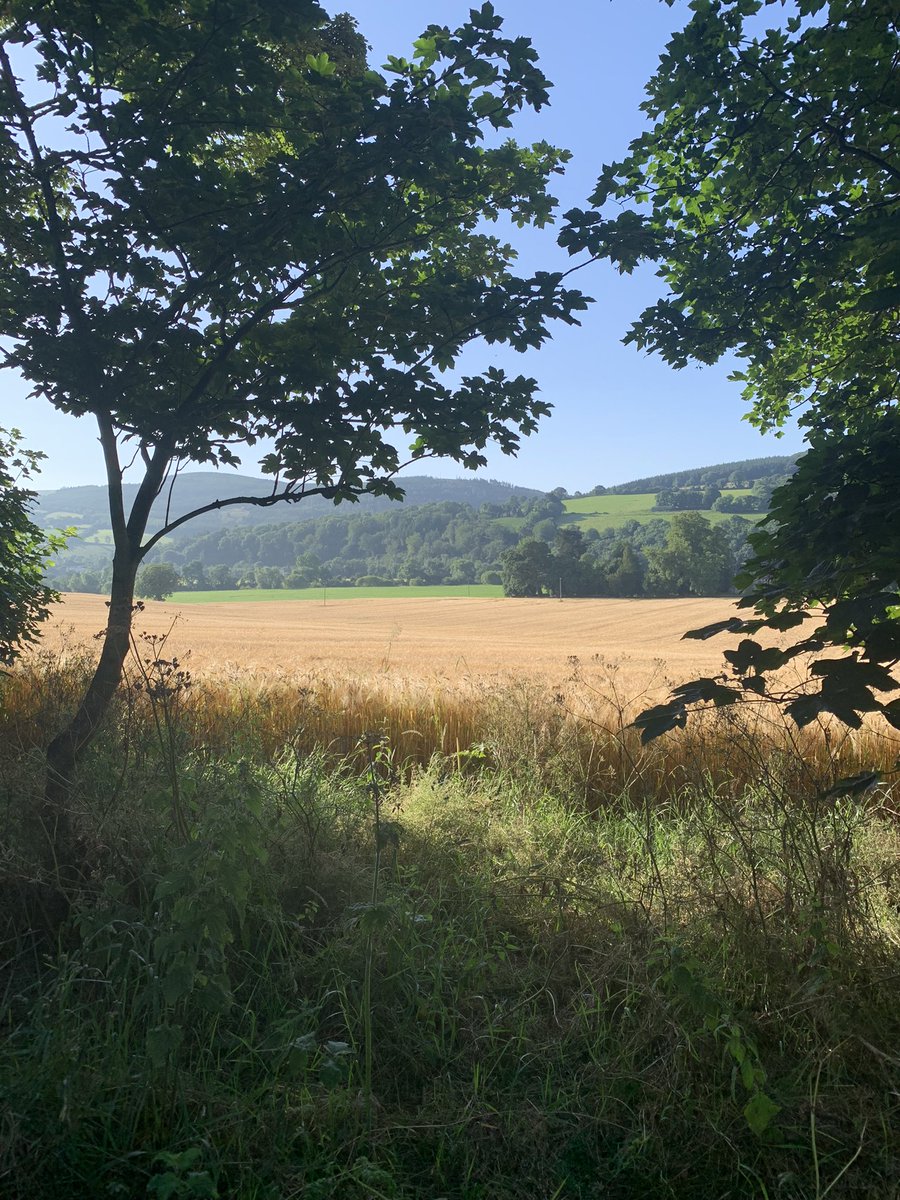 Mellany McLoone (@mermaidsea) on Twitter photo Sunny South East living up to its reputation this morning Sunny South East living up to its reputation this morning