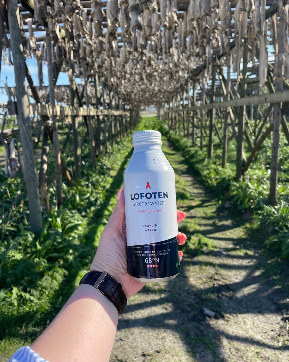 LofotenW's tweet photo. Todays location in Ballstad 🤗💧💧

_______________________________
 #lofotenarcticwater #norwegiandesign #aluminiumbottle #finewater #sustainable #recycleble #recycle #premiumwater #byebyeplastic #bottledwater #lofoten #refillnotlandfill #passion4water #spring #water # https://t.co/69AViTZozJ
