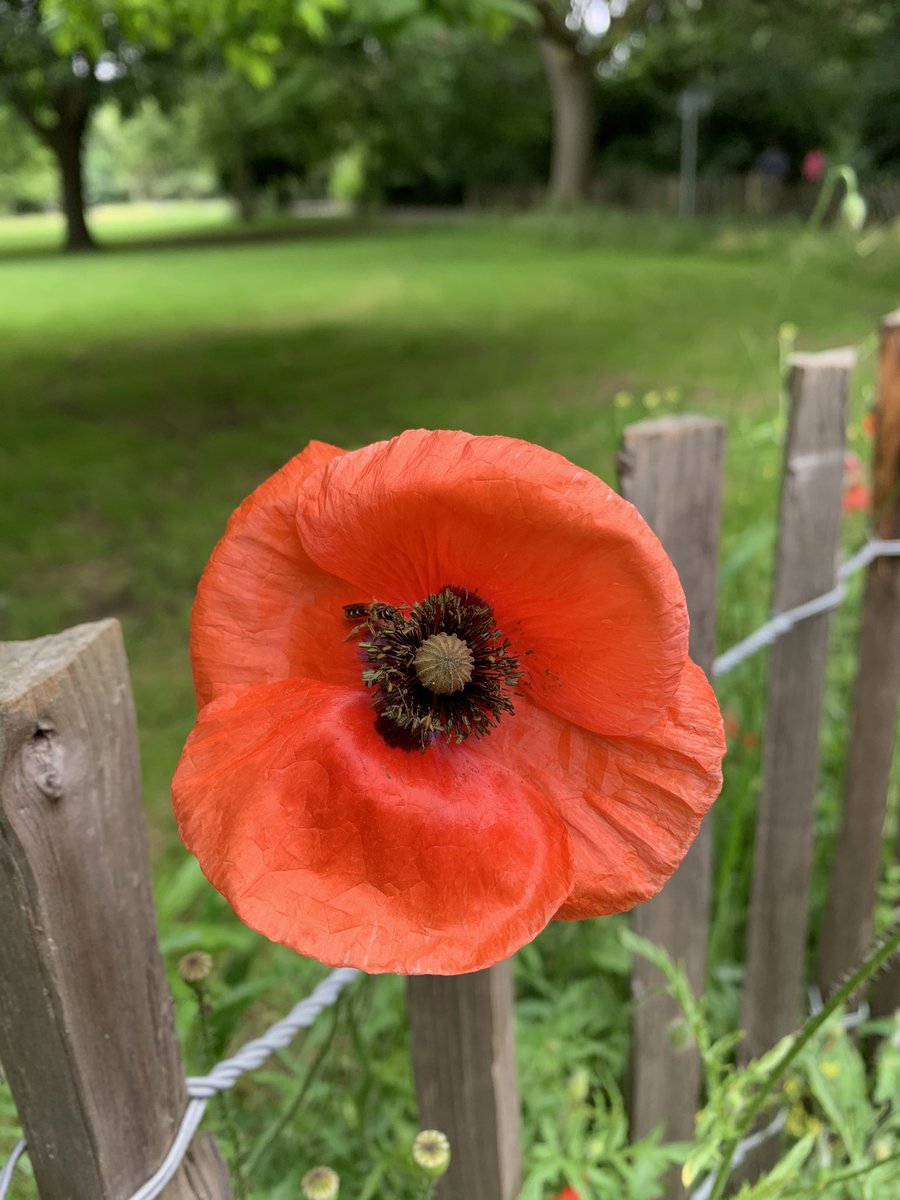 rksingh97263's tweet image. What happens within us is never determined by what is happening around us. But unfortunately, we link it to what is happening around us.