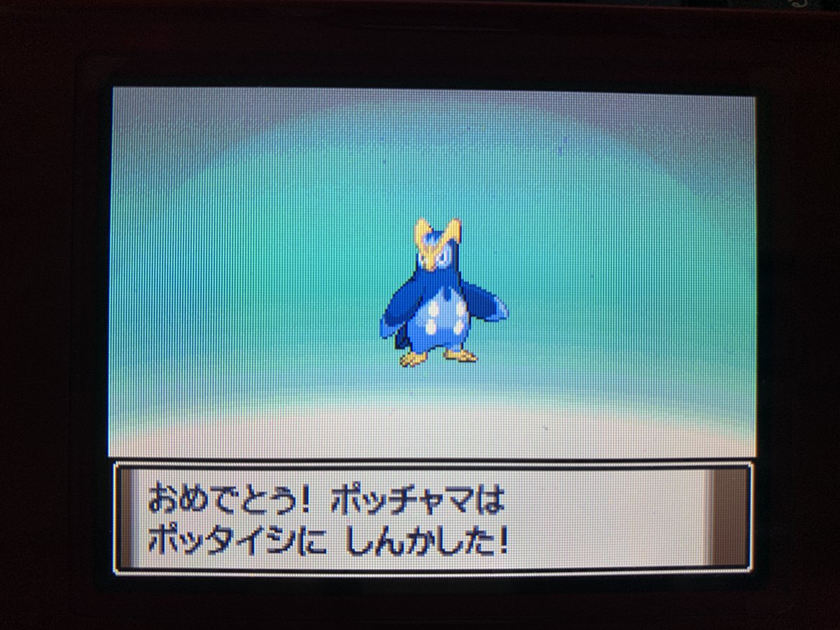 ハレハロ シルベーヌ海王星支部 3日目 1日30分で殿堂入りを目指す ポケットモンスタープラチナ ズガイドスずつきでひるみ狙ってくるのはアカン ジムバッジ1個目ゲット ポッチャマ ポッタイシへ進化 初ギンガ団戦 ポケモン ダイパリメイク