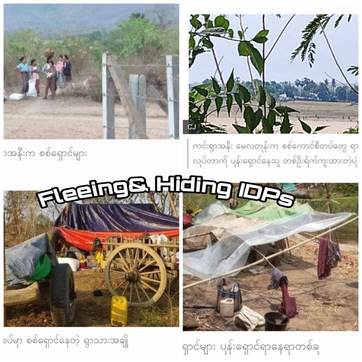 Military terrorists handcuffed and brutally killed about 15 refugees in Kani Tsp.  Mines were also buried under the corpses, injuring the volunteers who come and collect dead bodies. 
#KaniMassacre
#WhatsHappeningInMyanmar 
#July17Coup
