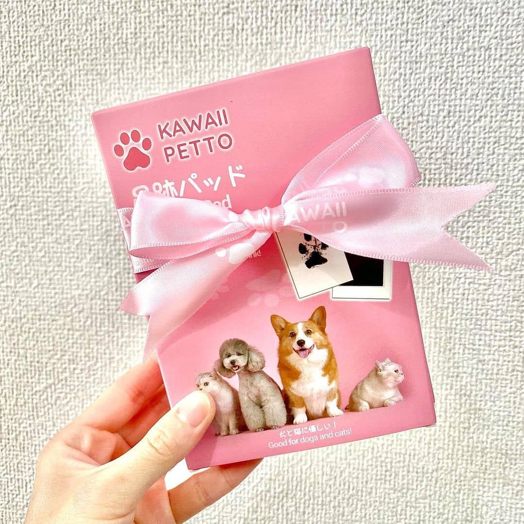 Kawaii Petto Kawaiipetto Jp Twitter