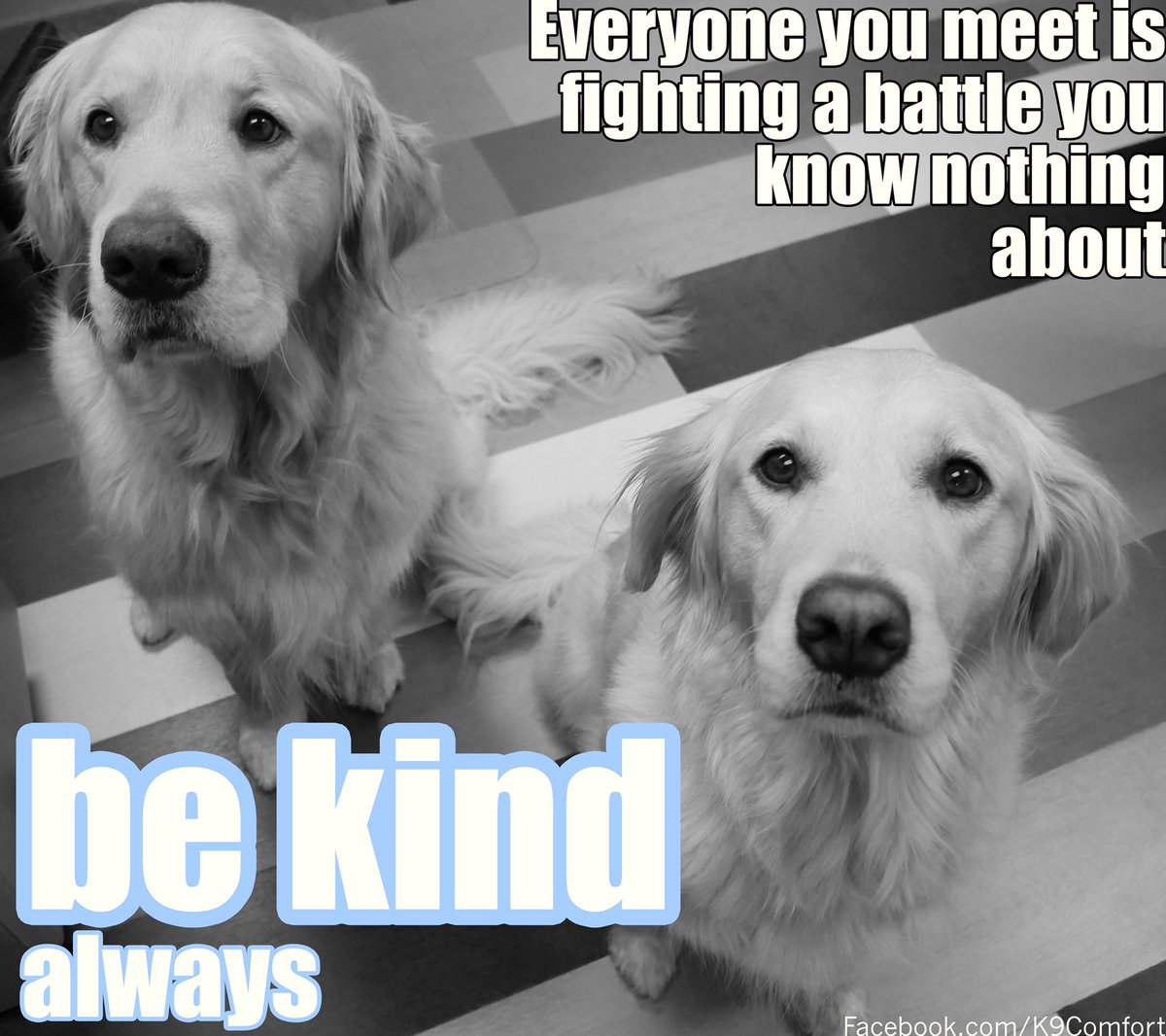K9ComfortDogs's tweet photo. #comfortdogs #SaturdayThoughts #dogs https://t.co/x2K1A6t8ih