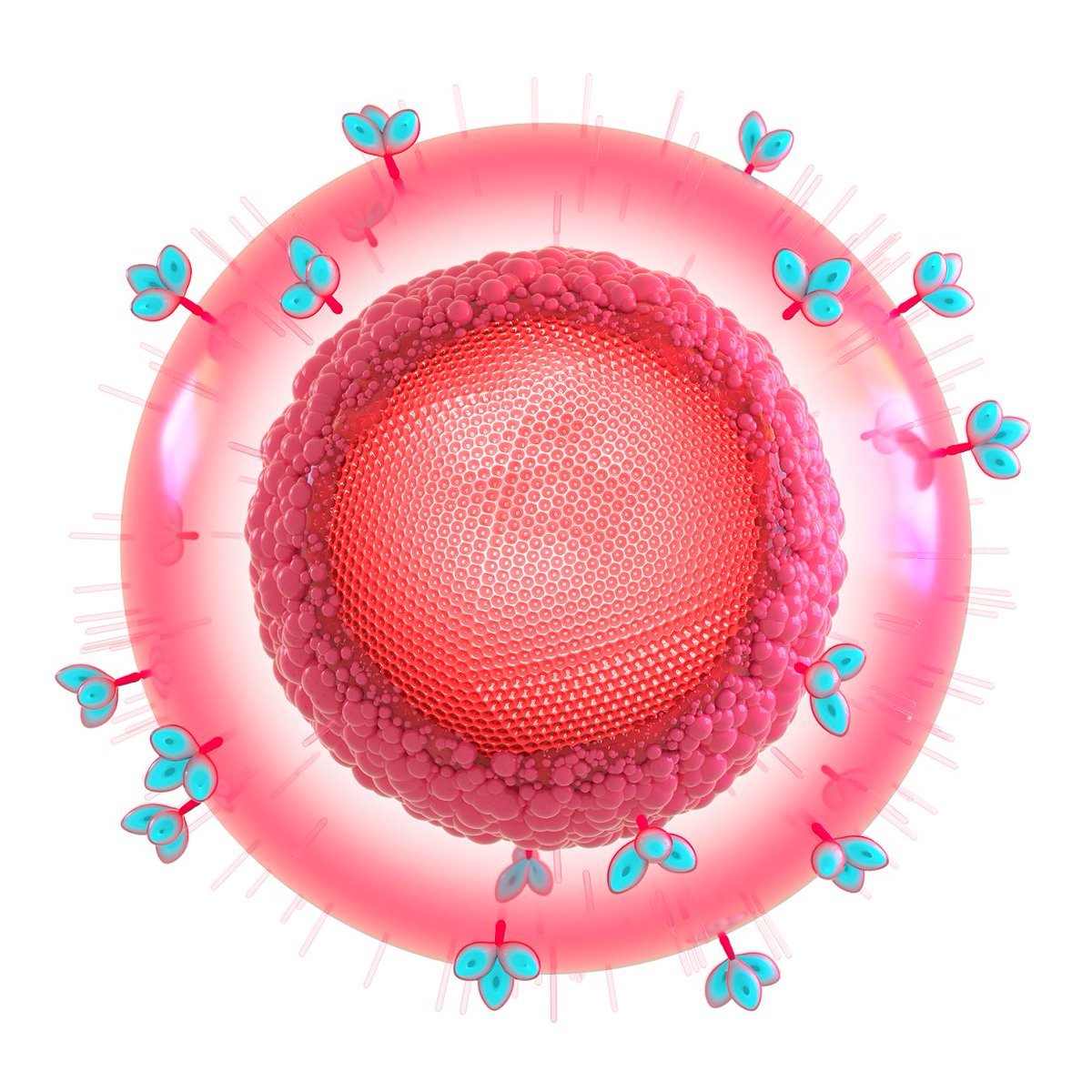 #News for #investors and #media — At @IAS_conference, the implementation science team at ViiV, our specialist HIV company, are sharing results from the CUSTOMIZE study. Further information at https://t.co/WmsyOlvJtj #IAS2021 https://t.co/6YdsMHQbG7