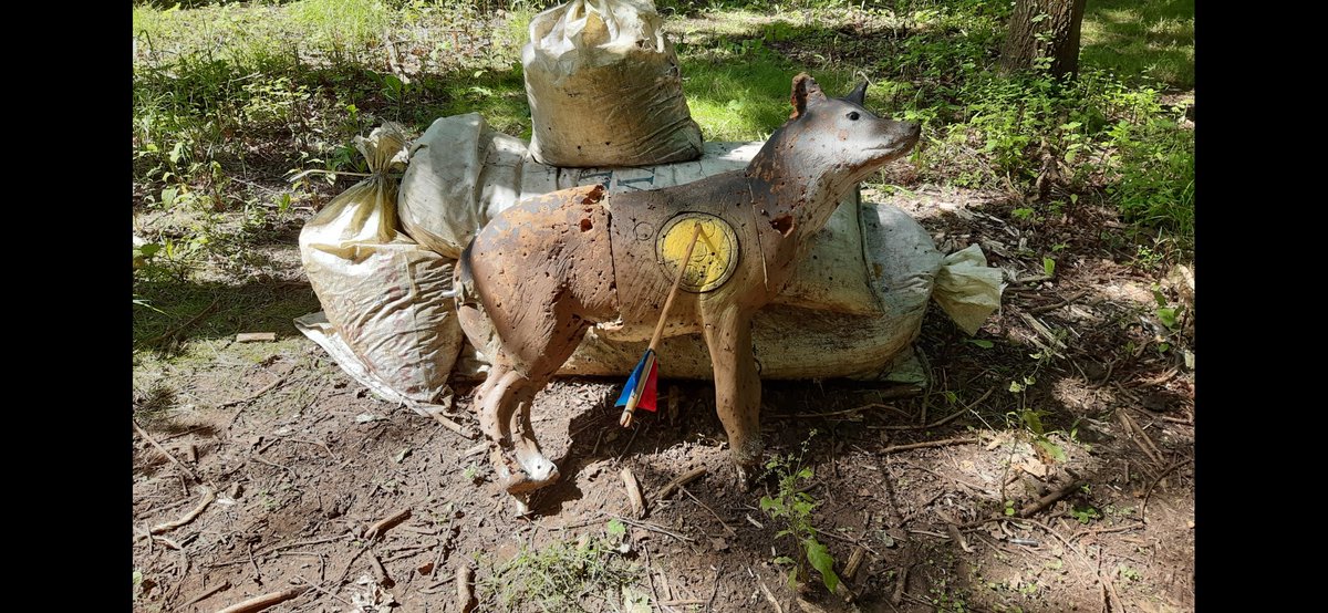 AlanBumford's tweet photo. Dedicated that shot to little red riding hood. #EnglishLongbow https://t.co/cB37N1rdAS