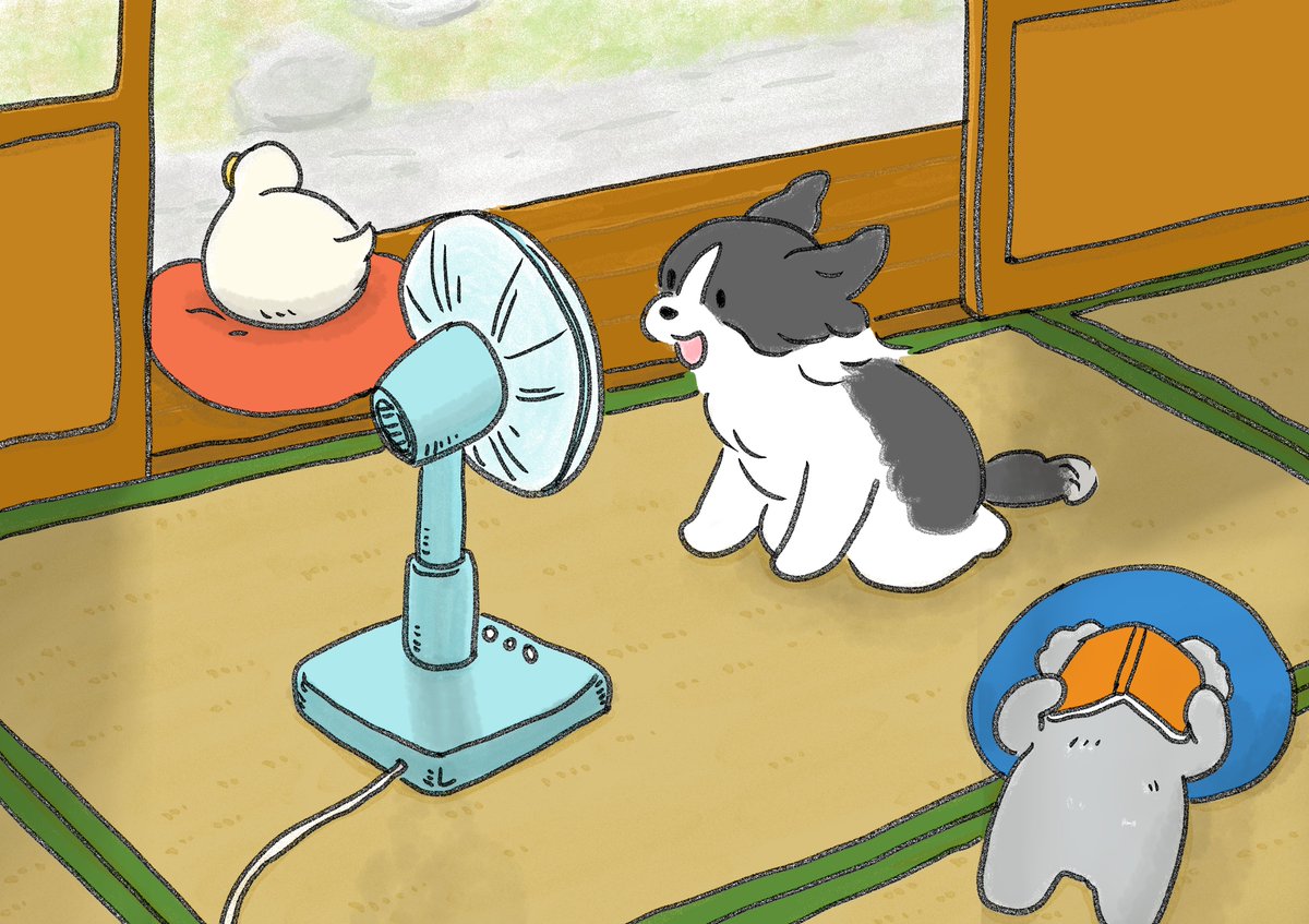 gillechoco's tweet image. あ”あ”あ”あ”あ”あ”